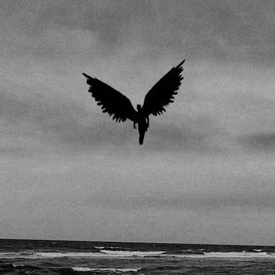 Avatar TikTok de @twix4114