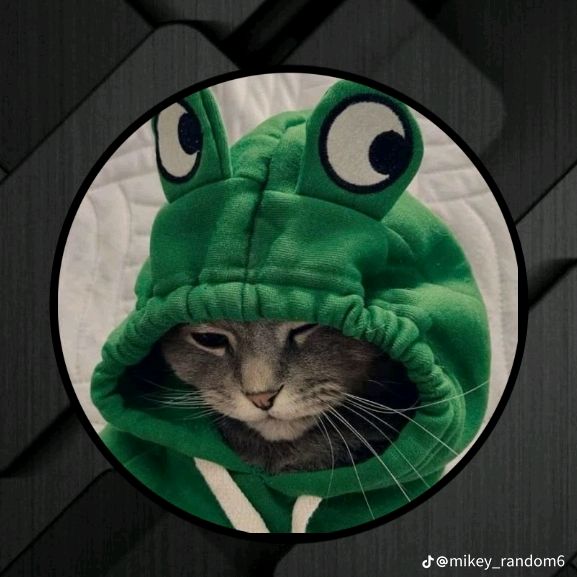 Avatar TikTok de @nrayanayo