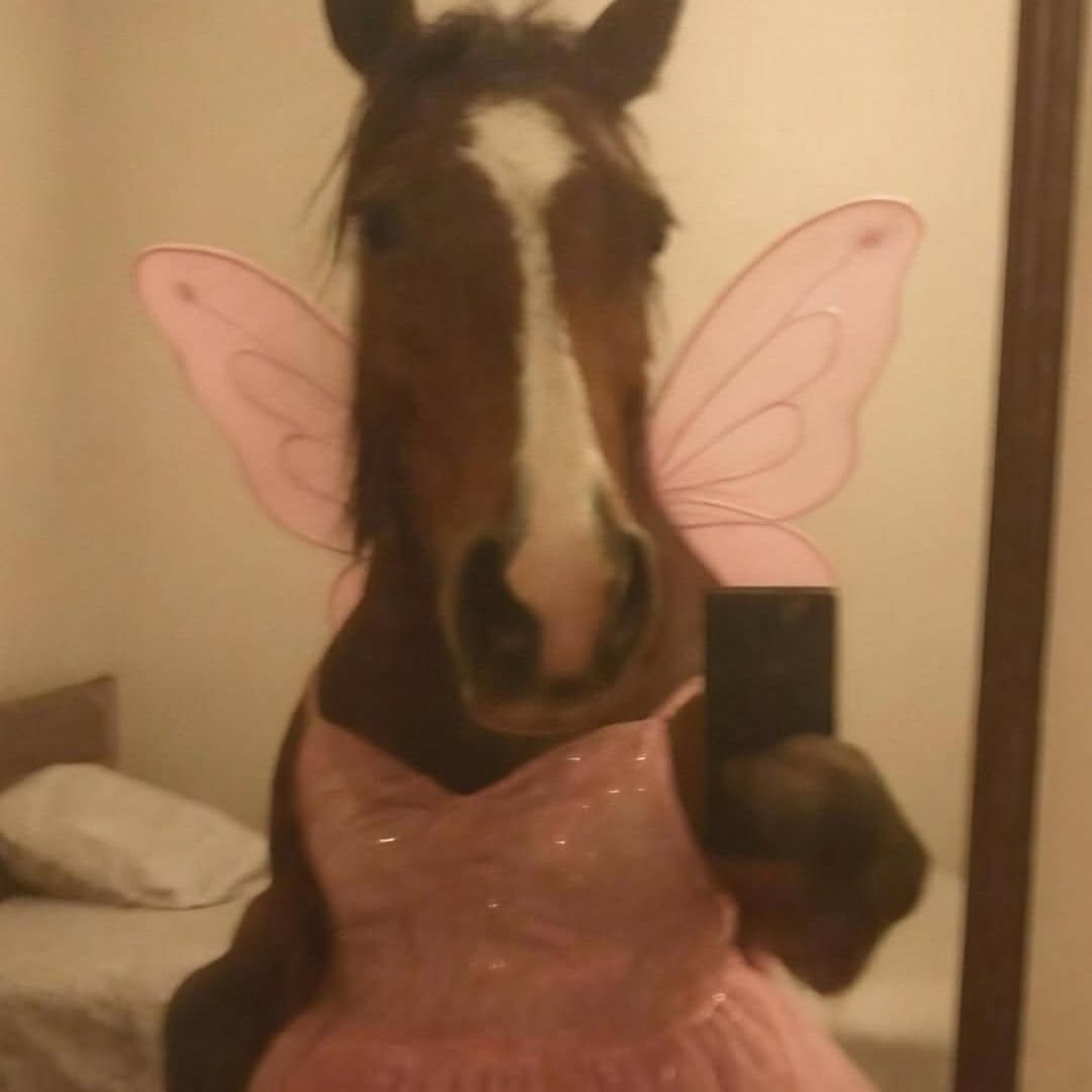 Avatar TikTok de @confettitits
