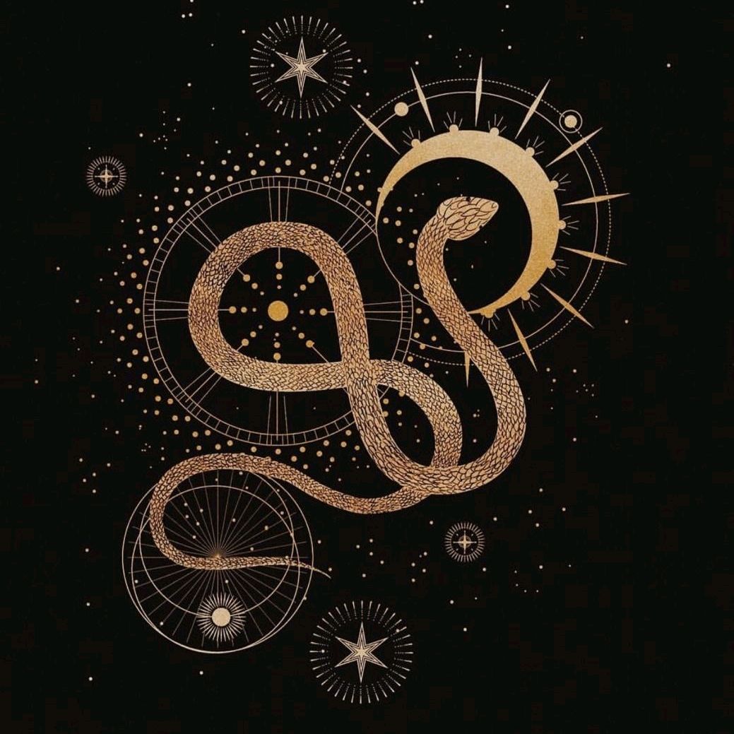 Avatar TikTok de @ophiuchus.xiii