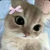 Avatar TikTok de @yasminee.ee2