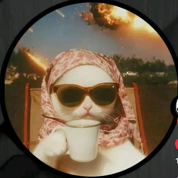 Avatar TikTok de @usename945