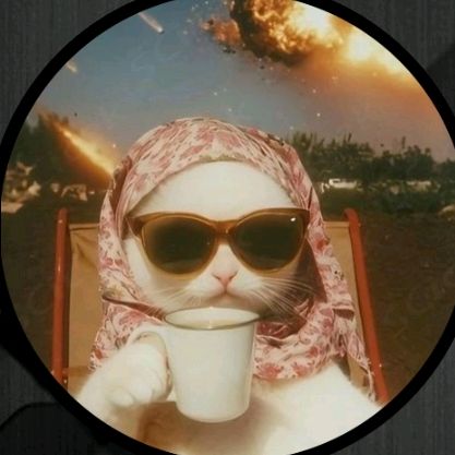 Avatar TikTok de @cendrab441