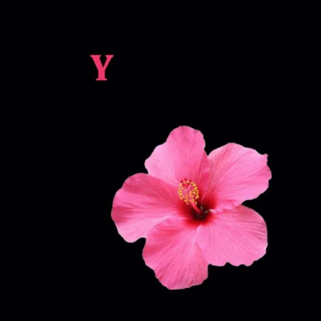 Avatar TikTok de @yousralamarocaine1