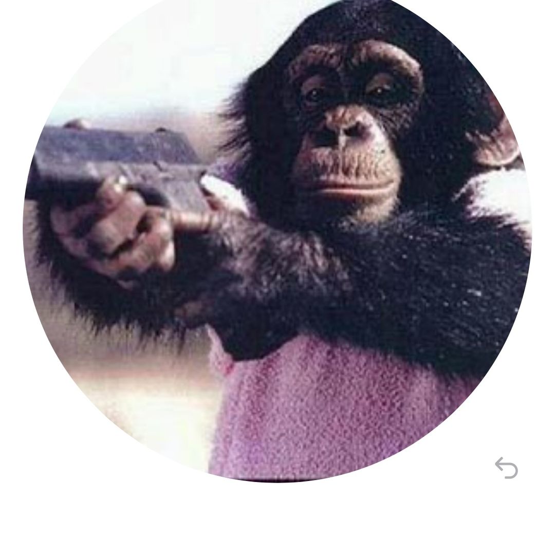 Avatar TikTok de @user121006511386