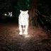 Avatar TikTok de @maudette4