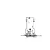 Avatar TikTok de @thecaramelbear