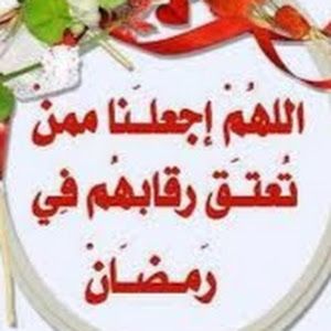 Avatar TikTok de @nourfathi1968