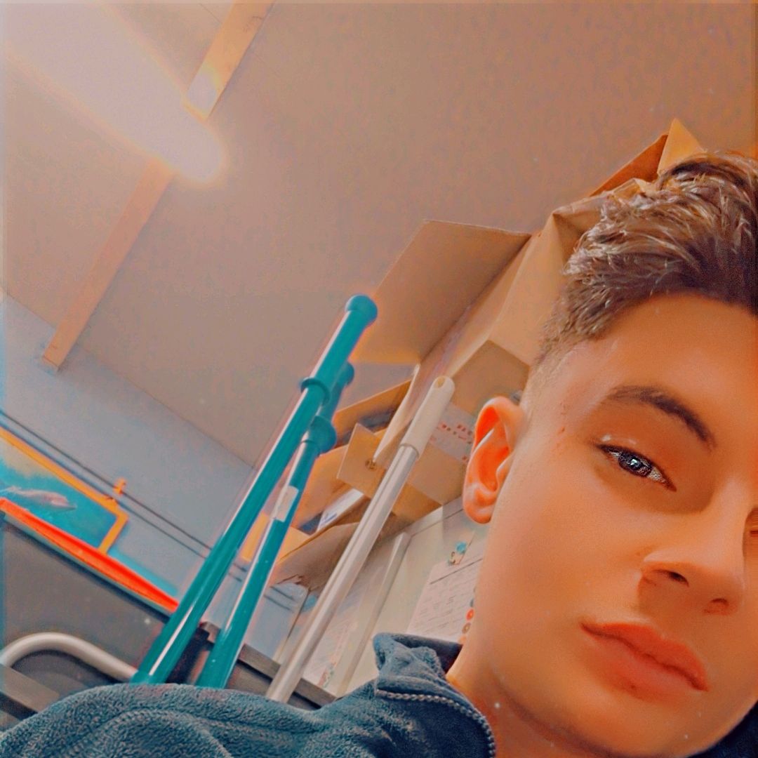 Avatar TikTok de @steeven8134
